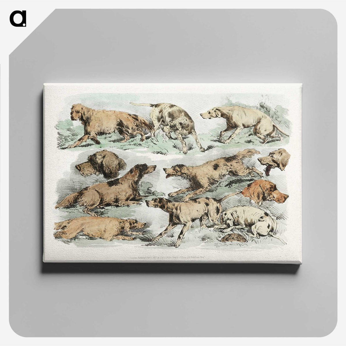 1-27_Sporting-Sketches_canvas