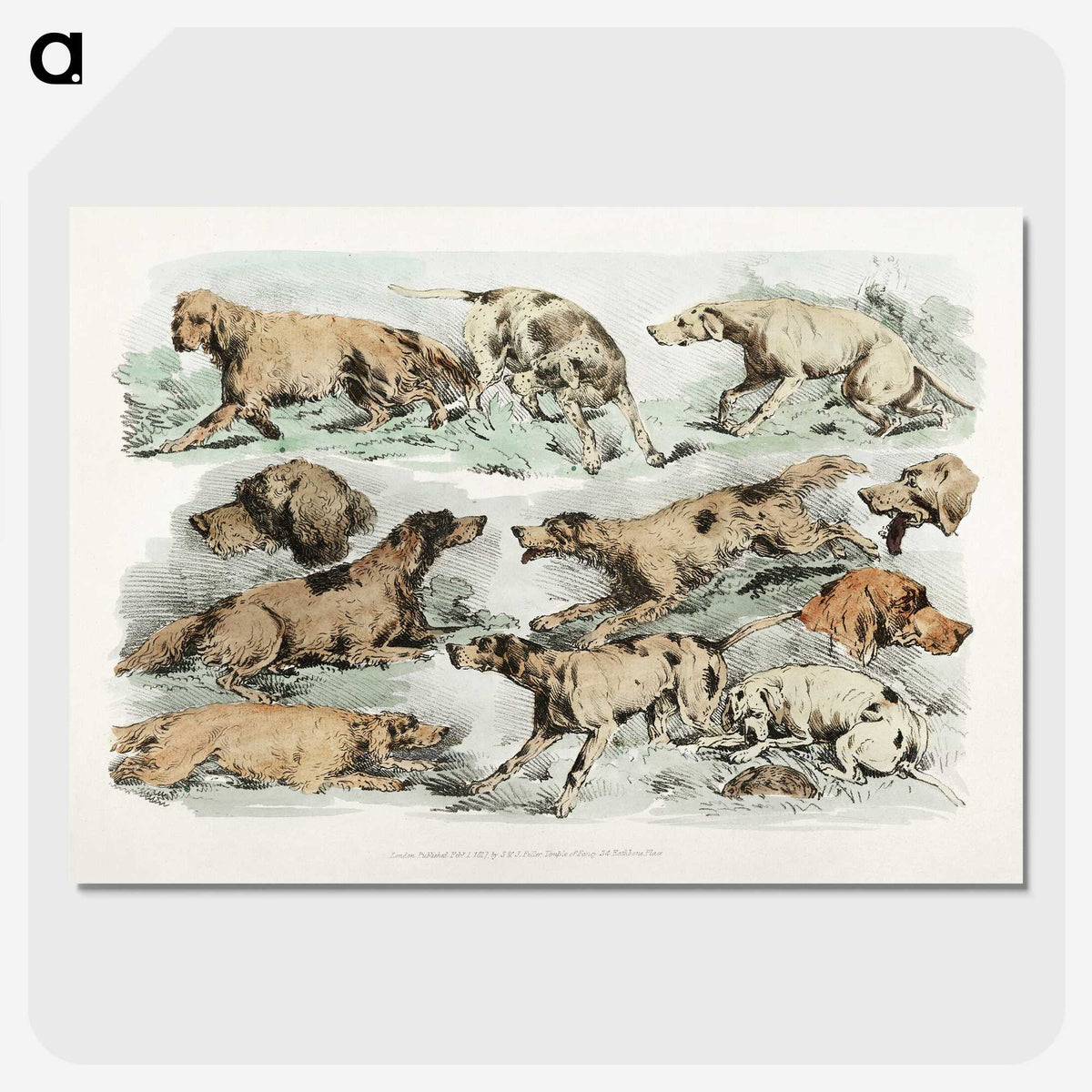 1-27_Sporting-Sketches_picture-crop