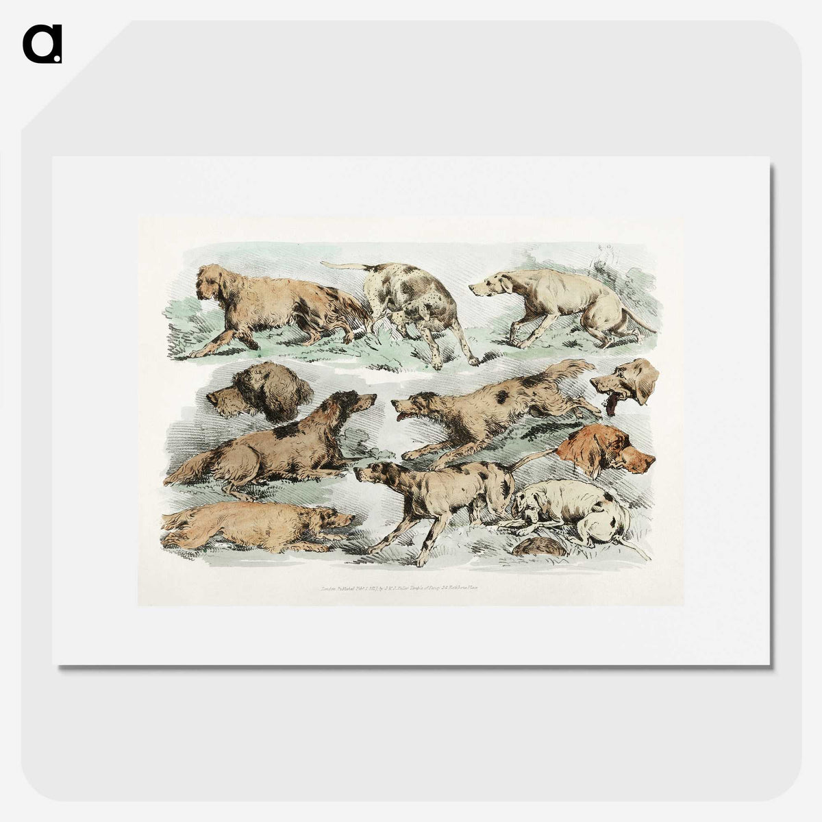 1-27_Sporting-Sketches_picture