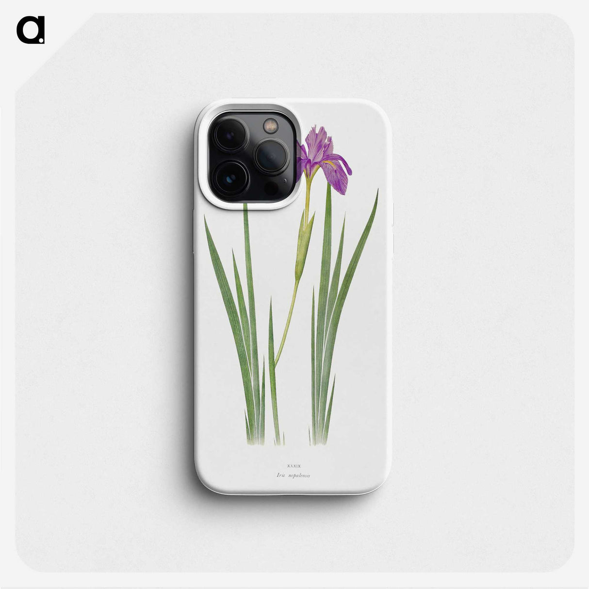 1-27_The-Genus-Iris_phone
