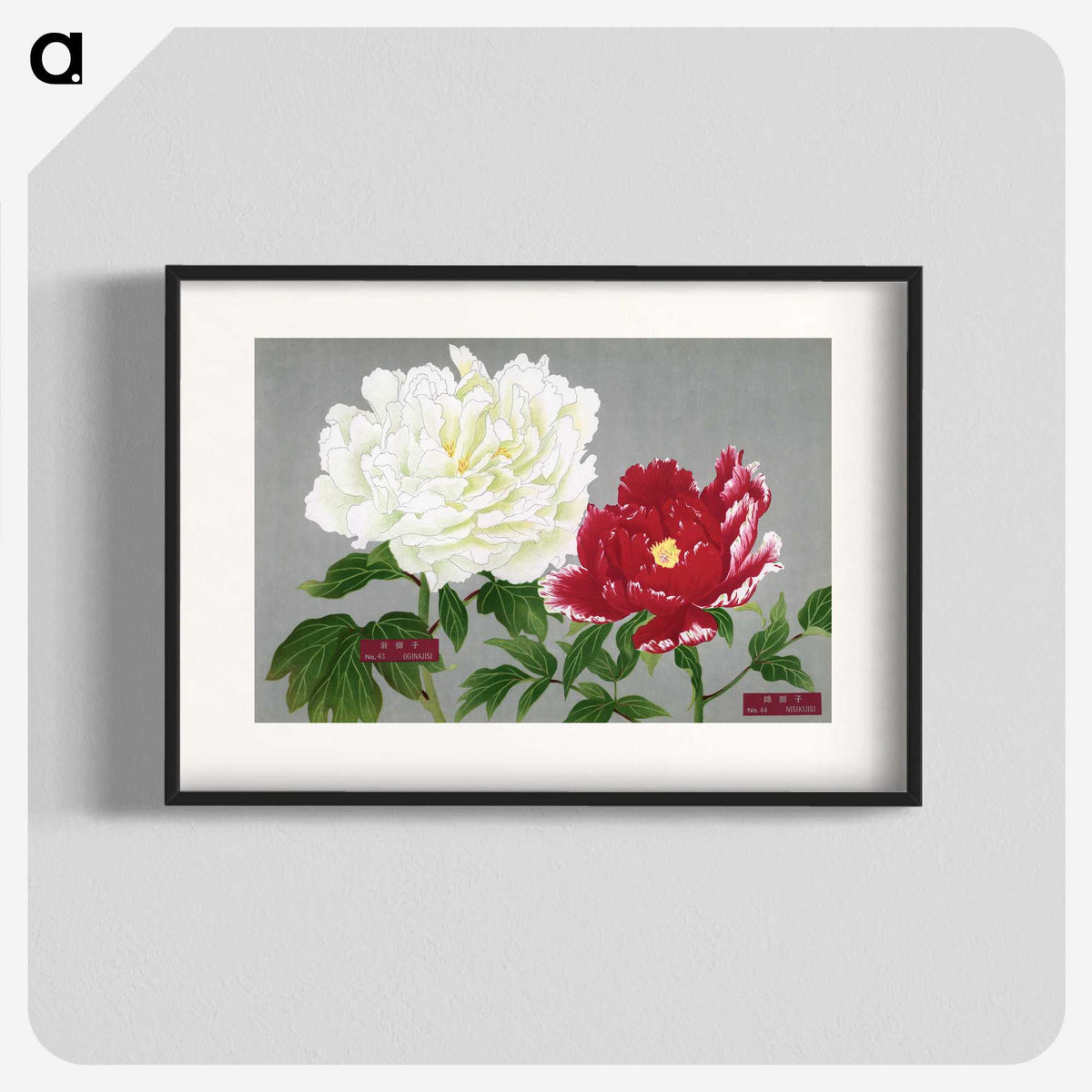 1-27_The-Picture-Book-of-Peonies_blk