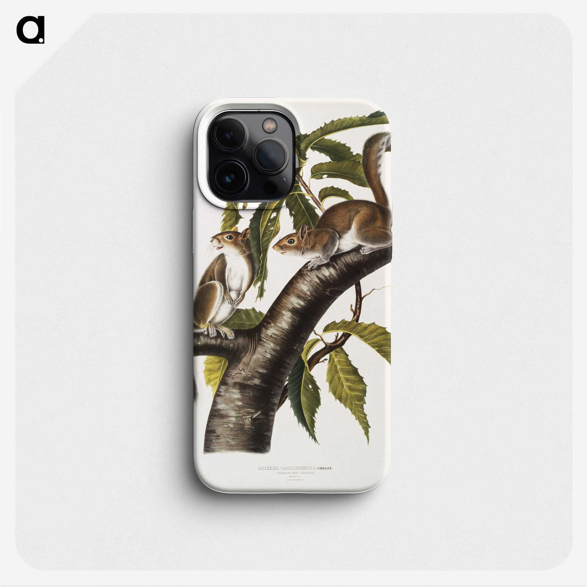 1-27_The-Viviparous-Quadrupeds_phone