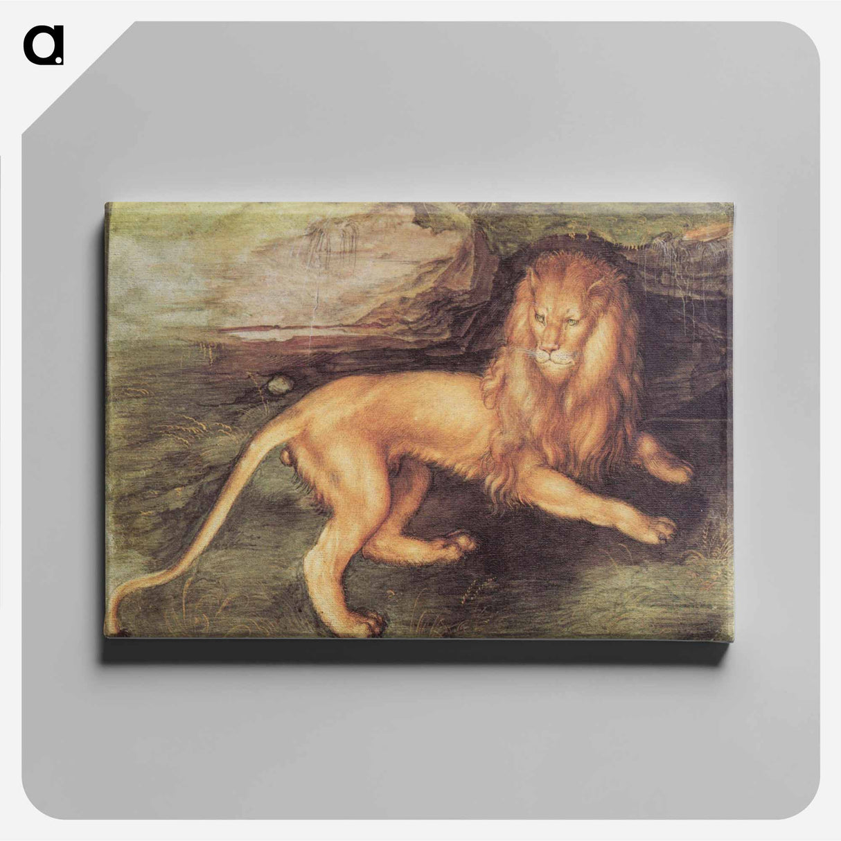 Albrecht Dürer - アルブレヒト デューラー Canvas.