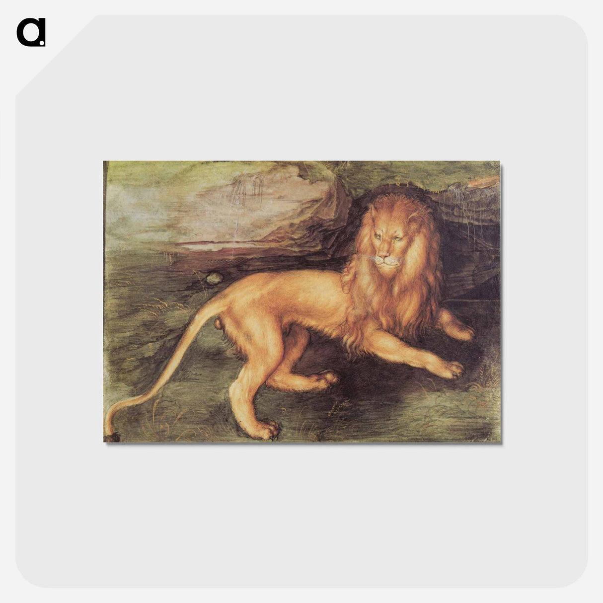 アートポストカード-Albrecht Dürer - アルブレヒト デューラー Postcard.