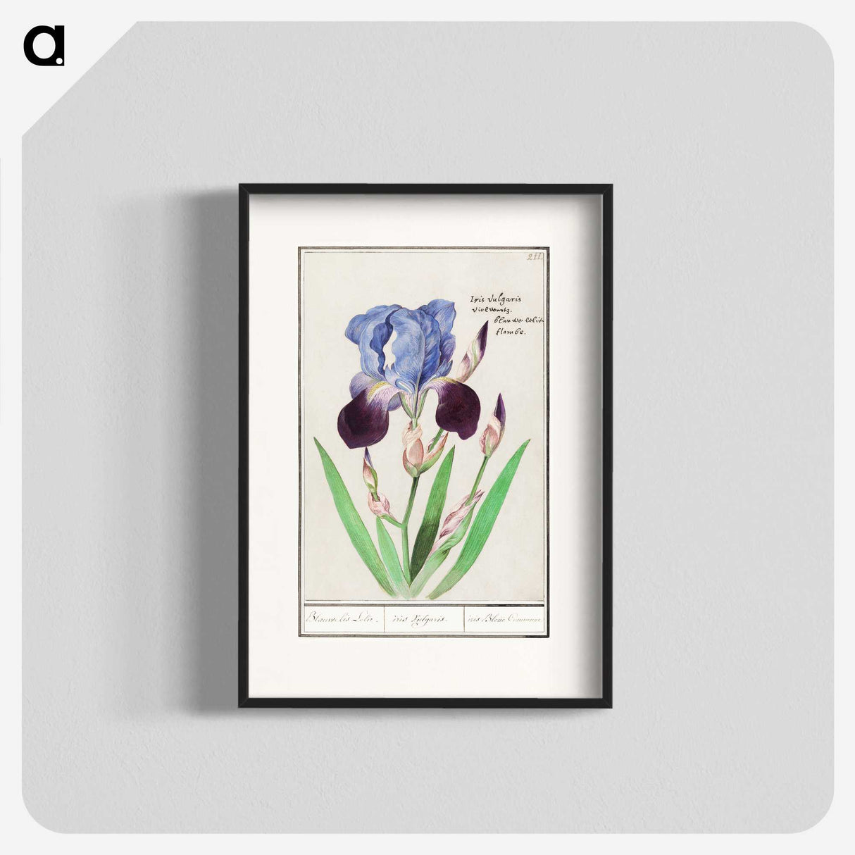 1-28_Anselmus-Boetius-de-Boodt_blk
