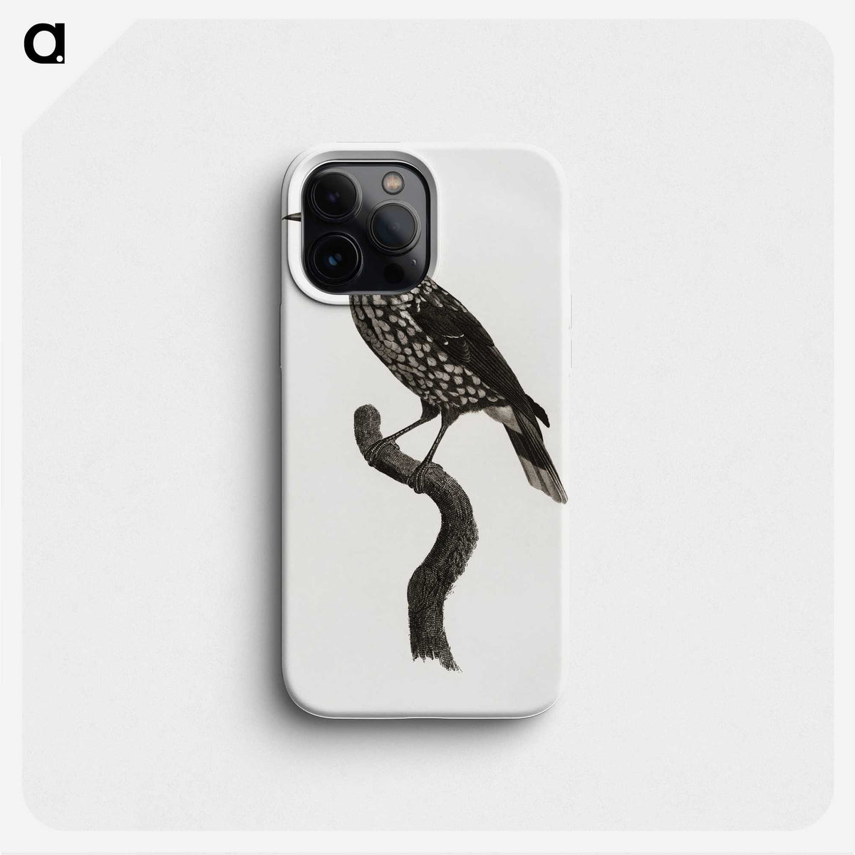 1-28_Des-Oiseaux-de-Paradis_phone
