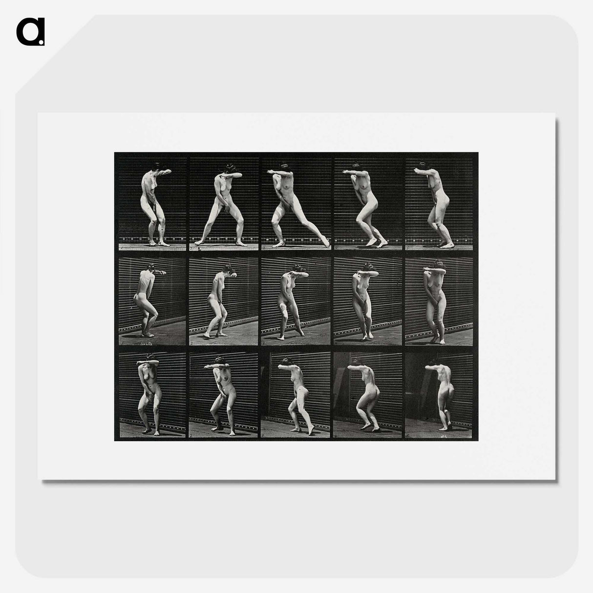 1-28_Eadweard-Muybridge_picture