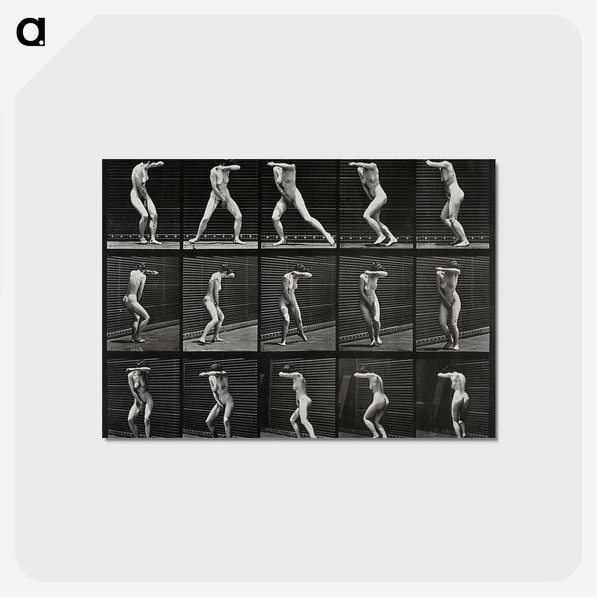 1-28_Eadweard-Muybridge_postcard