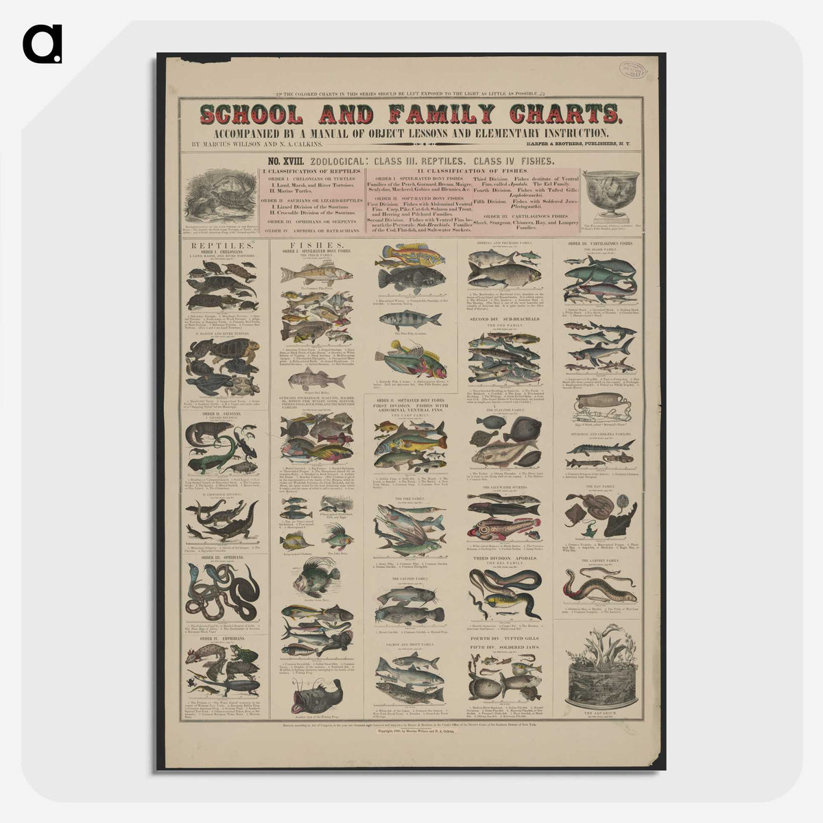 1-28_Education-Charts_picture-crop