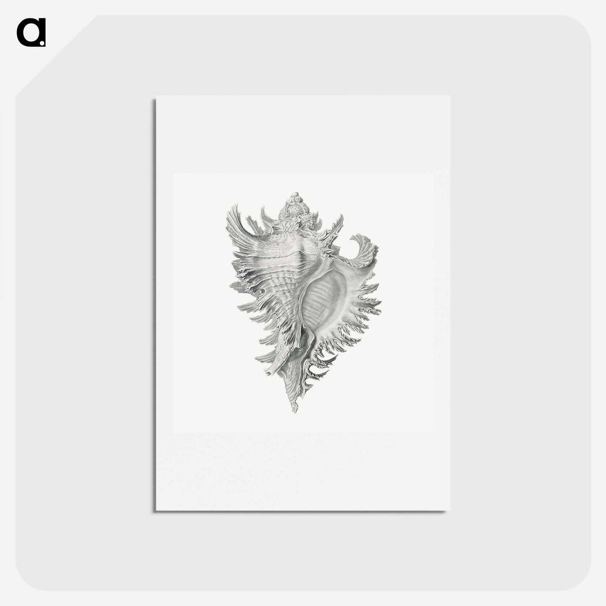 1-28_Ernst-Haeckel_hagaki