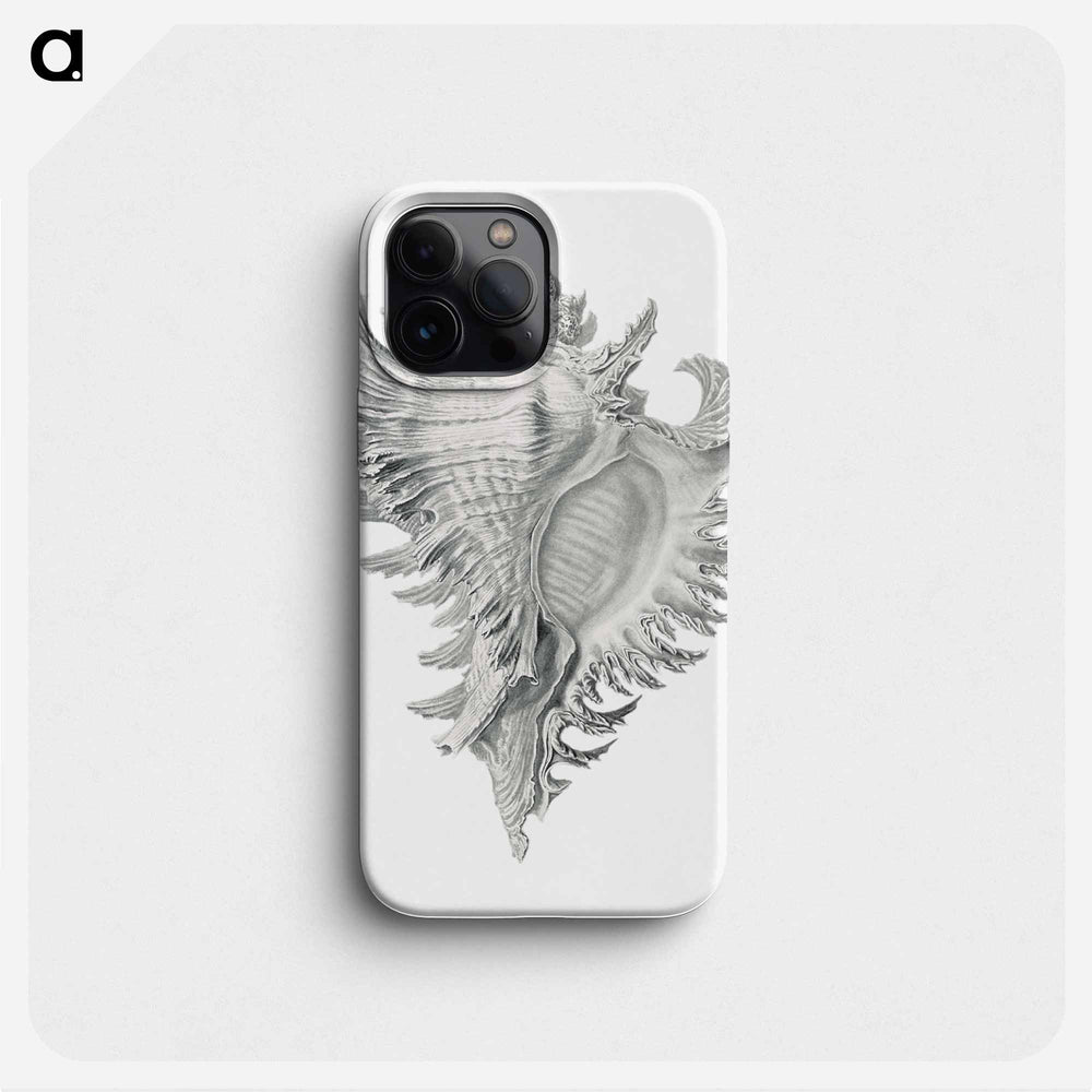 Vintage shell marine life illustration - エルンスト ヘッケル Phone Case.