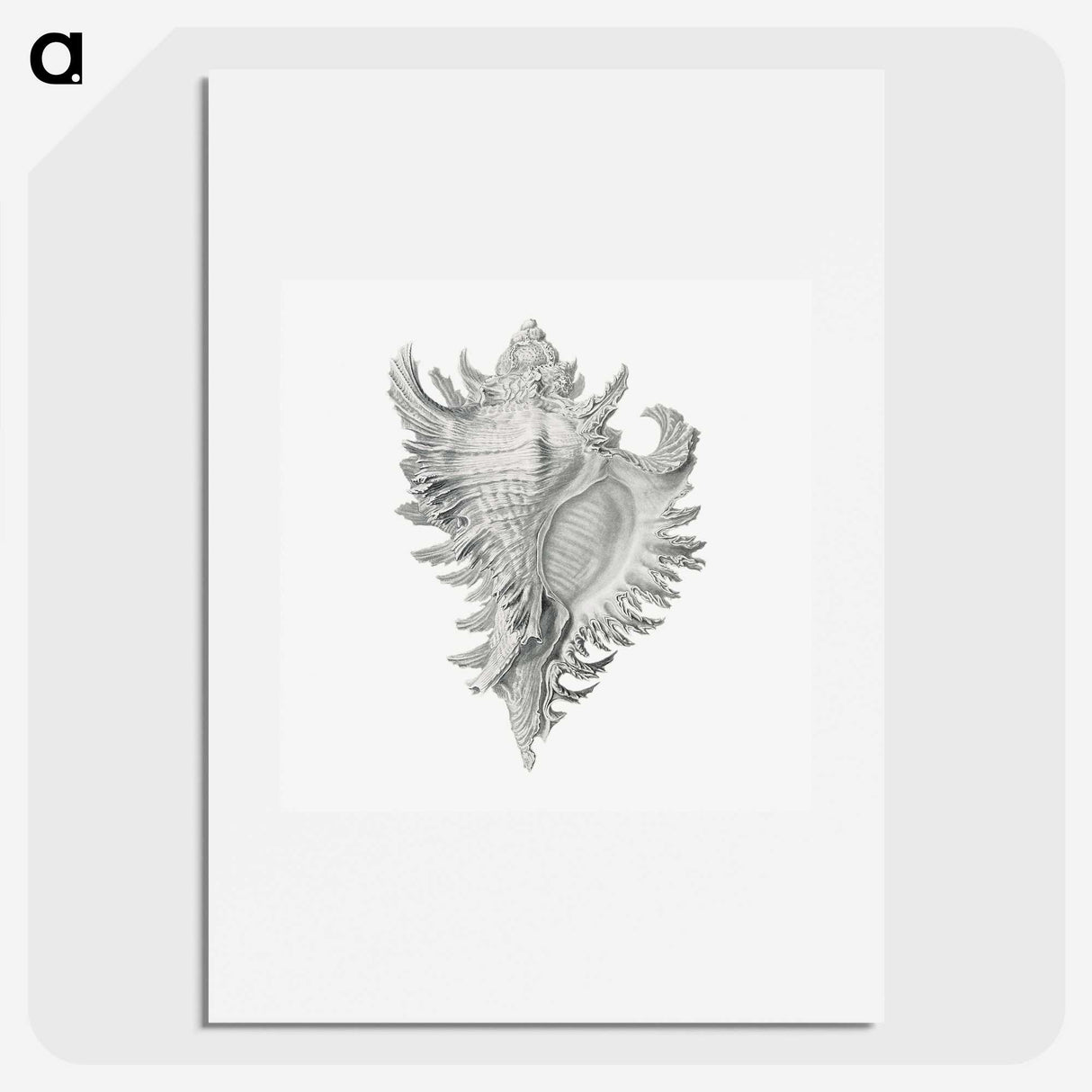 1-28_Ernst-Haeckel_picture