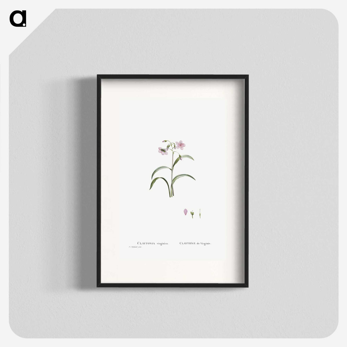 1-28_Histoire-des-Plantes-Grasses_blk
