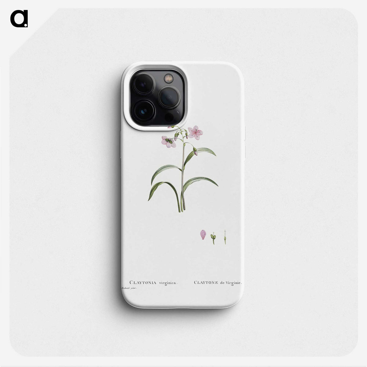 1-28_Histoire-des-Plantes-Grasses_phone