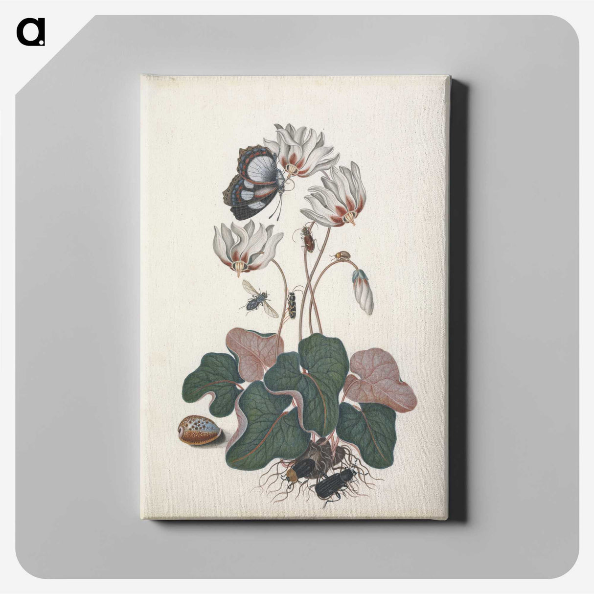 1-28_James-Bolton_canvas