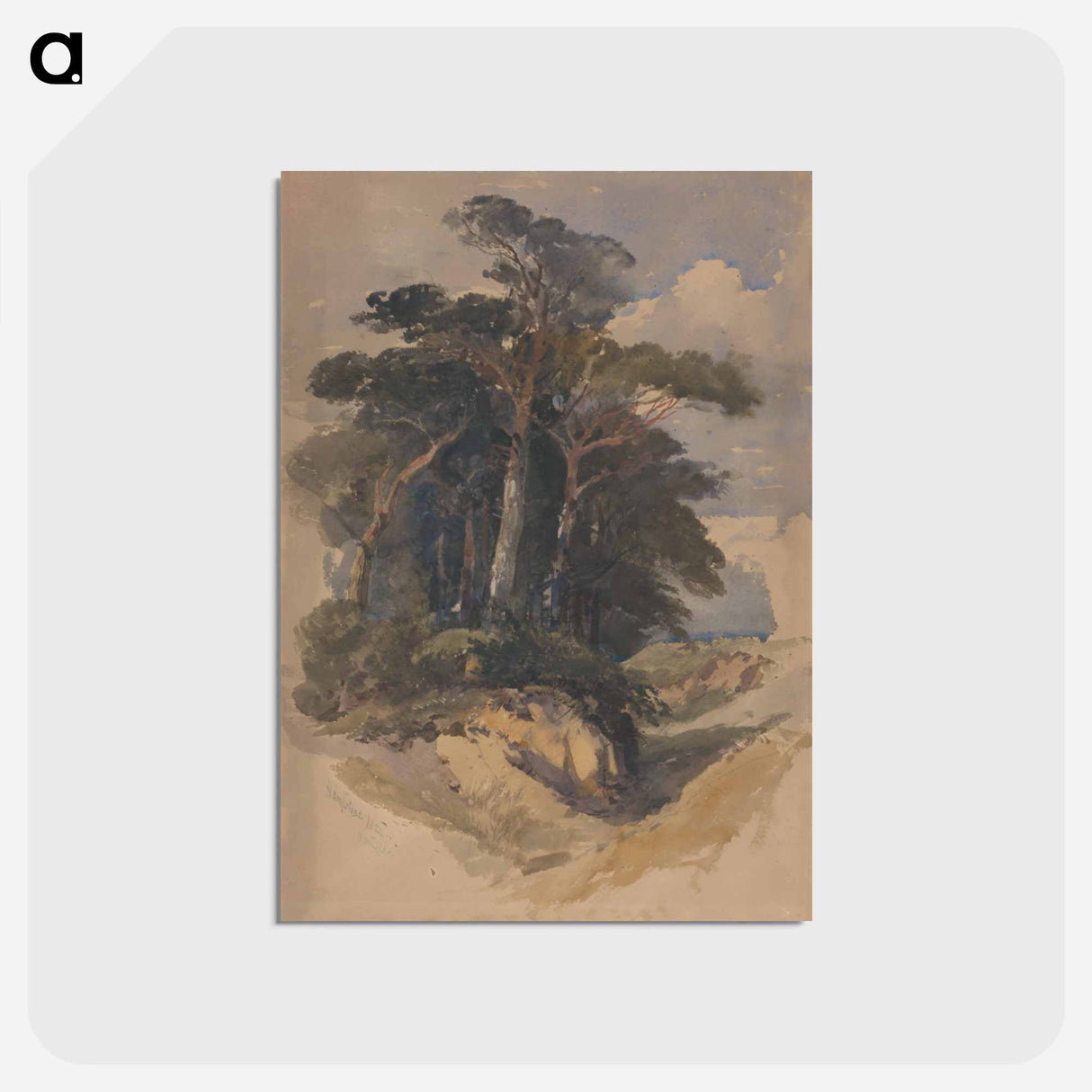 アートポストカード-Pines on Hampstead Heath
- ジェームス ヒース Postcard.