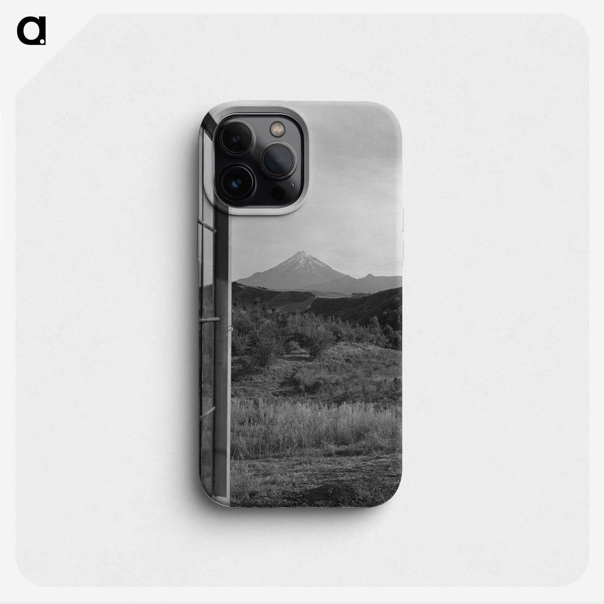 1-28_James-Walter-Chapman-Taylor_phone