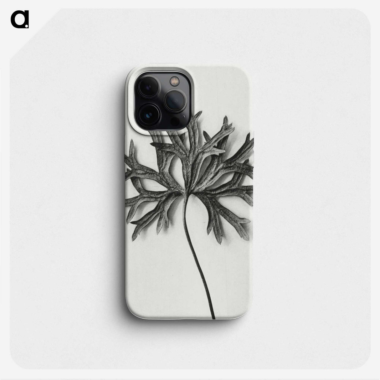 1-28_Karl-Blossfeldt_phone