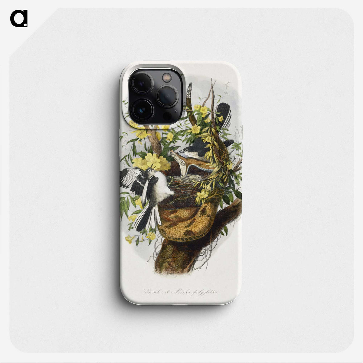 1-28_Le-Jardin-des-Plantes_phone