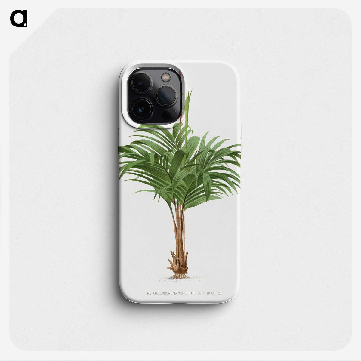 1-28_Les-Palmiers-Histoire-Iconographique_phone