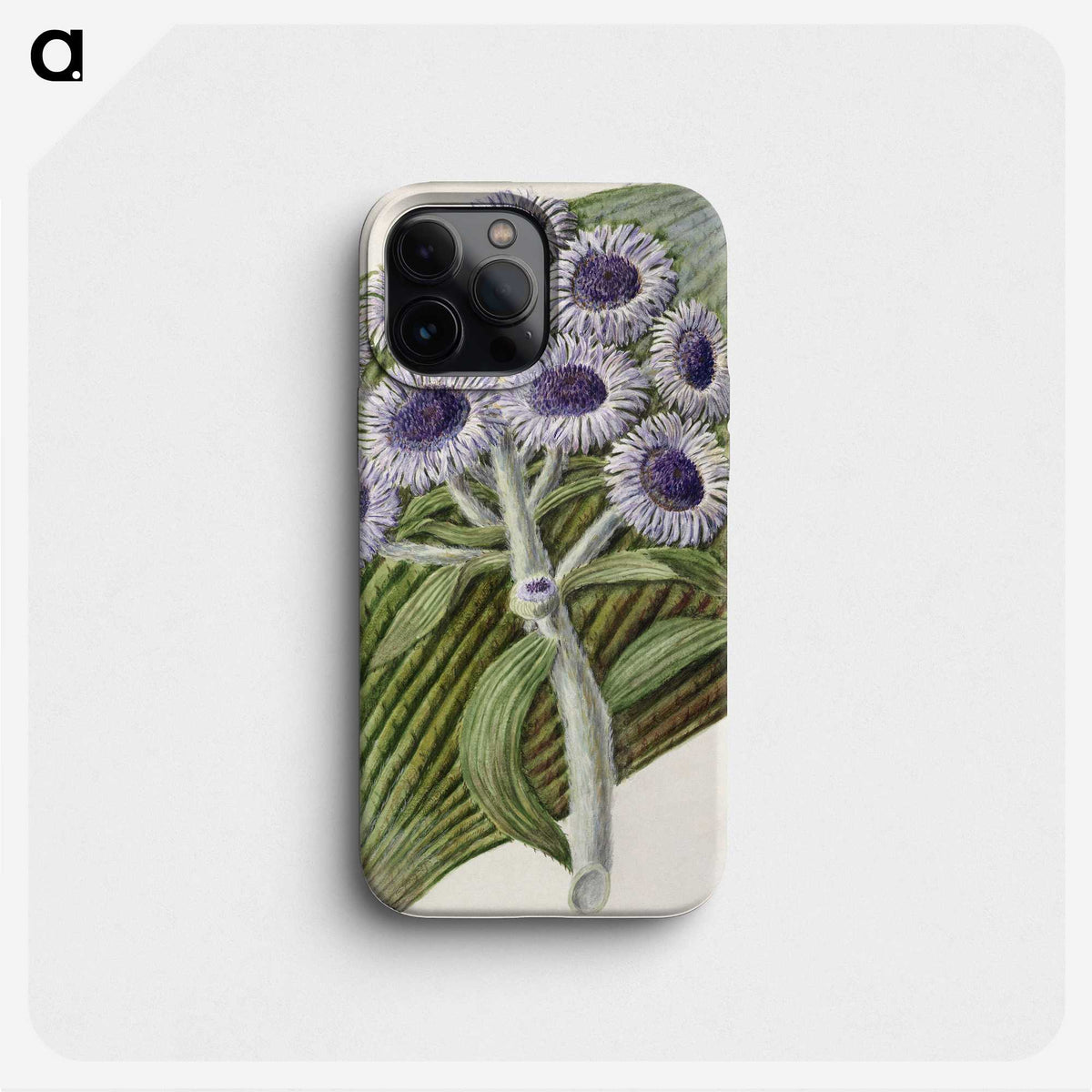 1-28_Native-Flowering-Plants-of-New-Zealand_phone