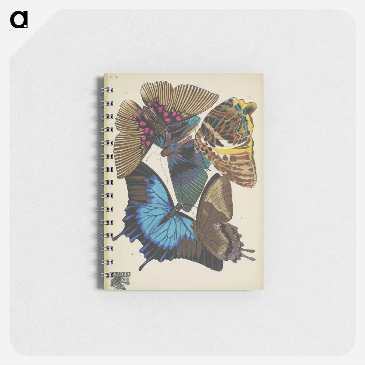 アートメモ帳-Vintage Butterflies
- パピヨン Memo.