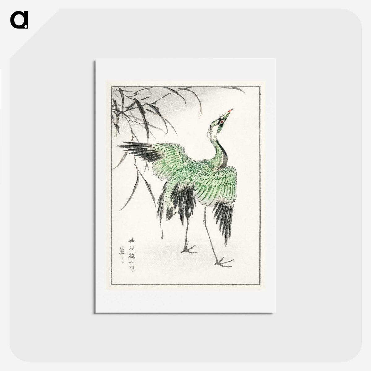 1-28_Pictorial-Monograph-of-Birds_hagaki