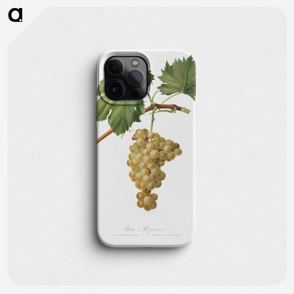 1-28_Pomona-Italiana_phone
