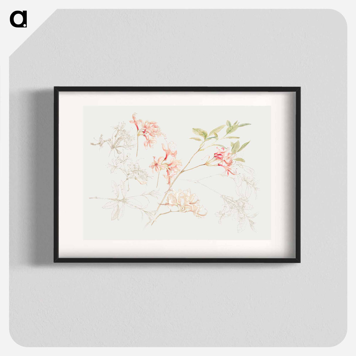 アートポスター-Azaleas - サミュエル コールマン Poster.