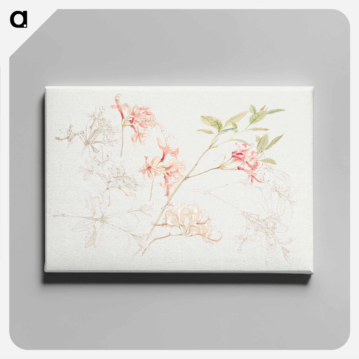 アートパネル-Azaleas - サミュエル コールマン Canvas.