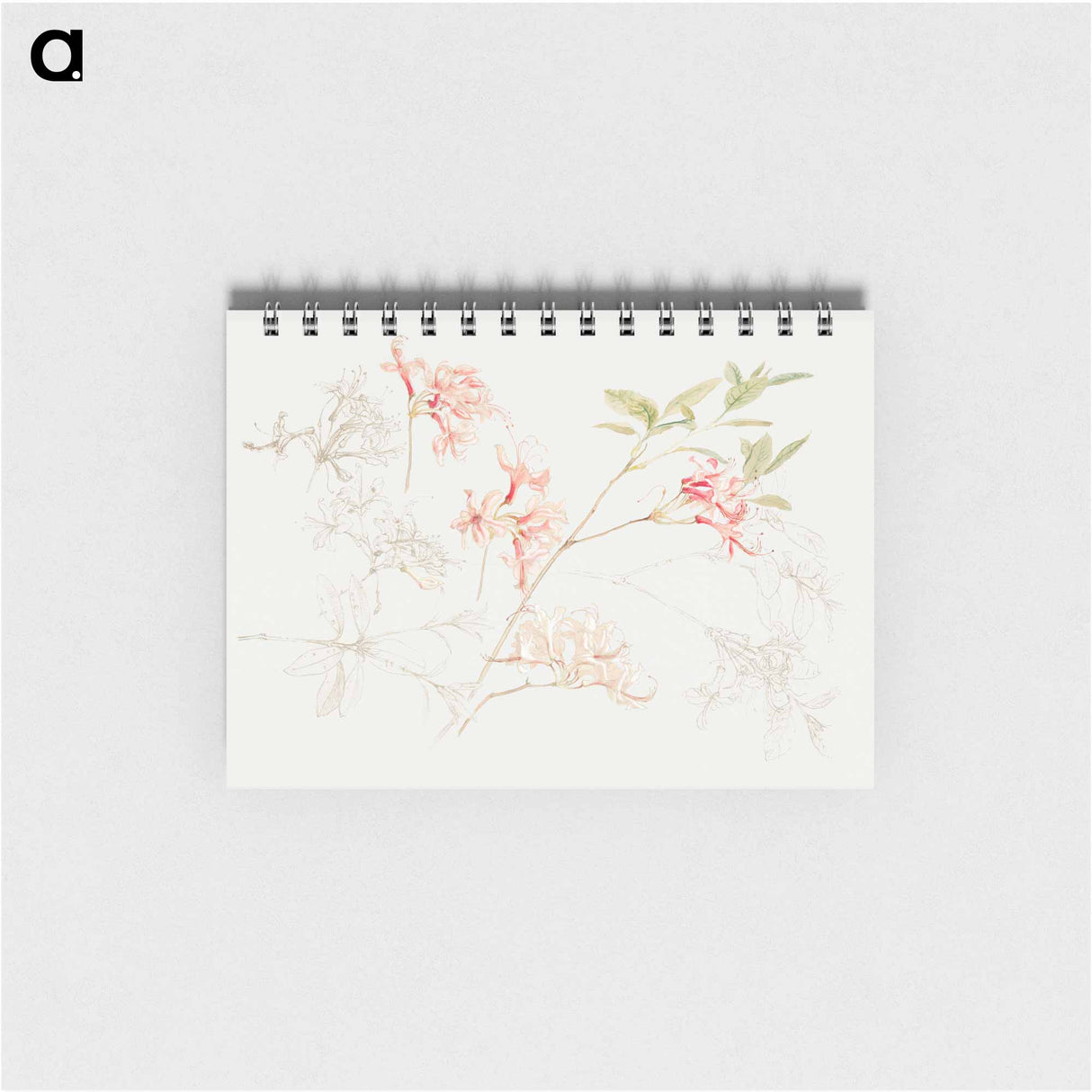 アートメモ帳-Azaleas - サミュエル コールマン Memo.
