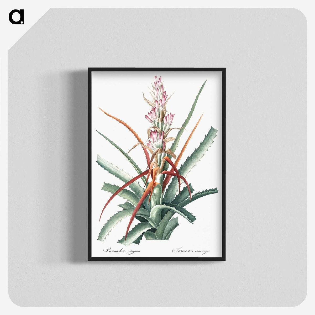 1-28_The-Lilies_blk-crop