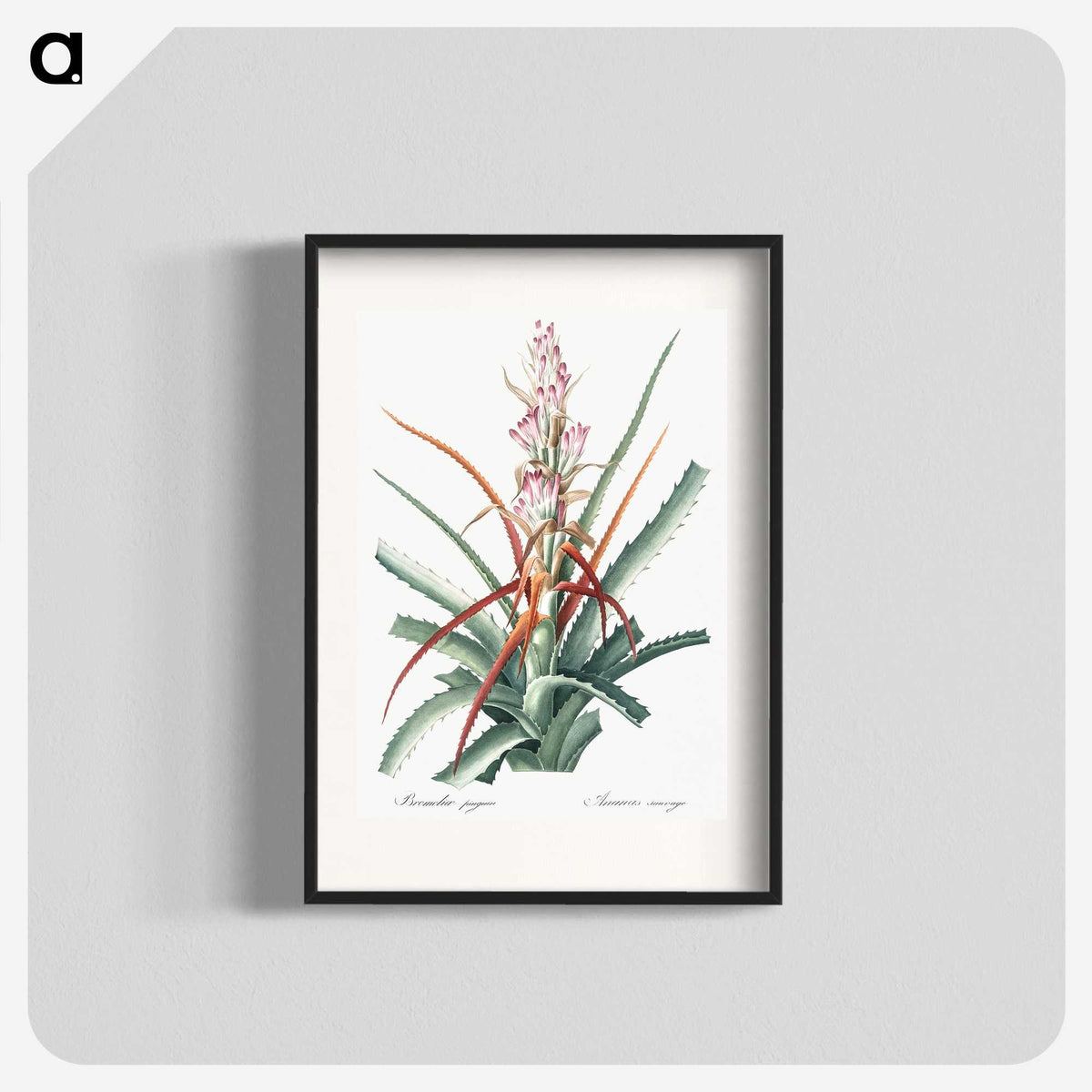 1-28_The-Lilies_blk