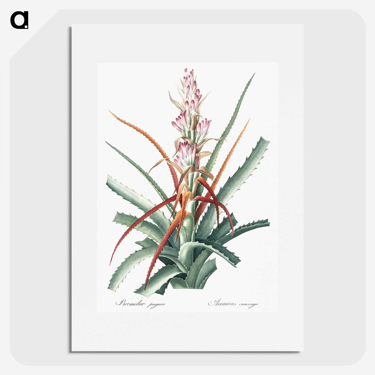 1-28_The-Lilies_picture