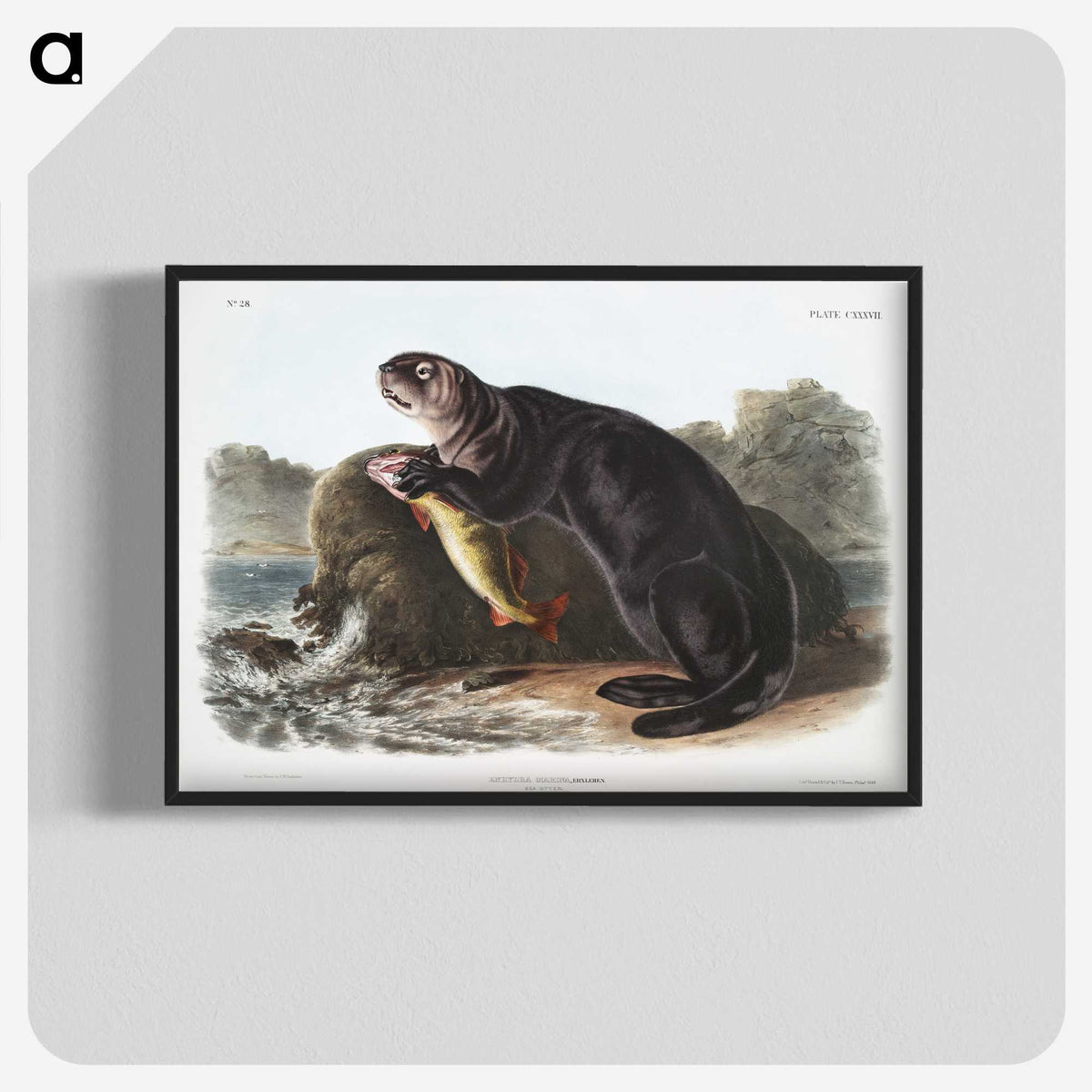 1-28_The-Viviparous-Quadrupeds_blk-crop