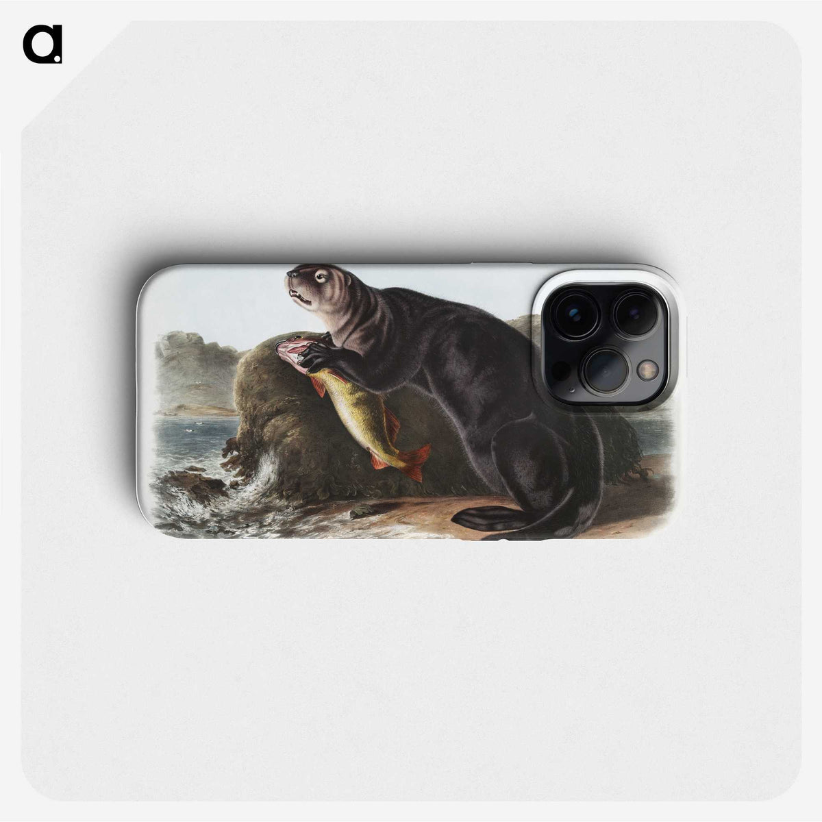 1-28_The-Viviparous-Quadrupeds_phone