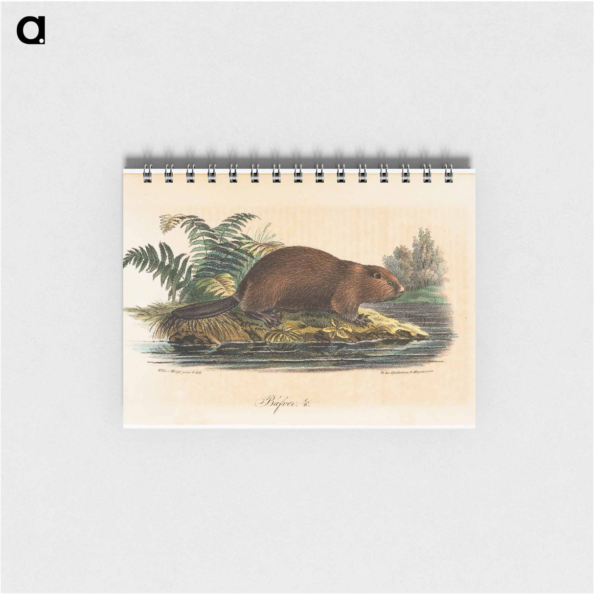 アートメモ帳-Beaver - ヴィルヘルム フォン ライト Memo.