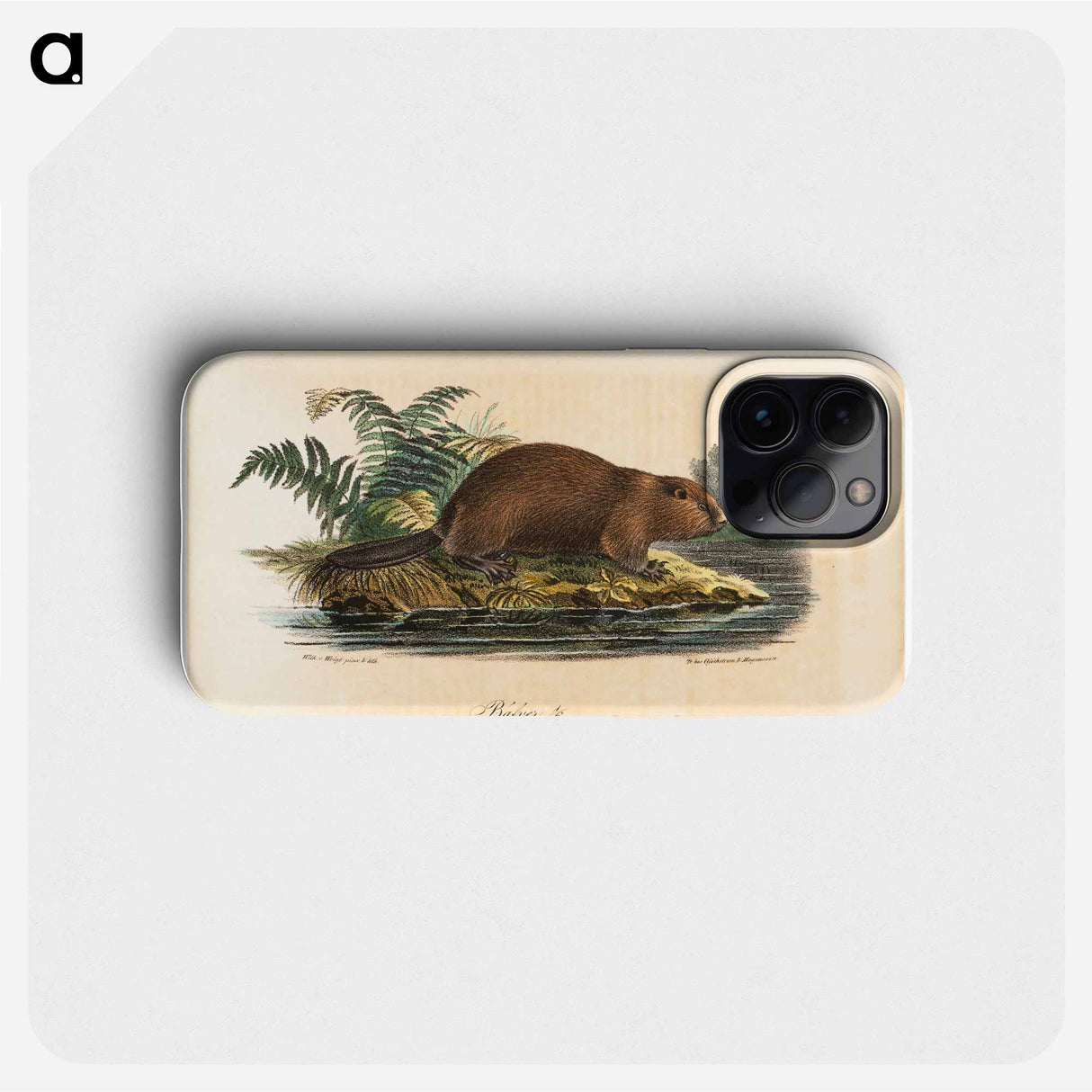 Beaver - Wilhelm von Wright Phone Case.