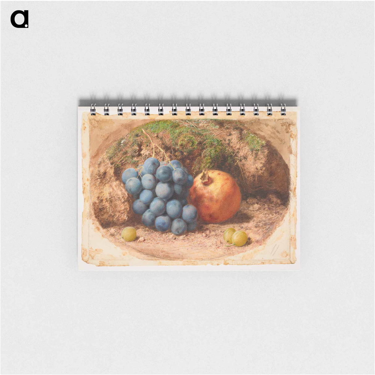 アートメモ帳-Still Life with Grapes and a Pomegranate - ウィリアム ヘンリー ハント Memo.
