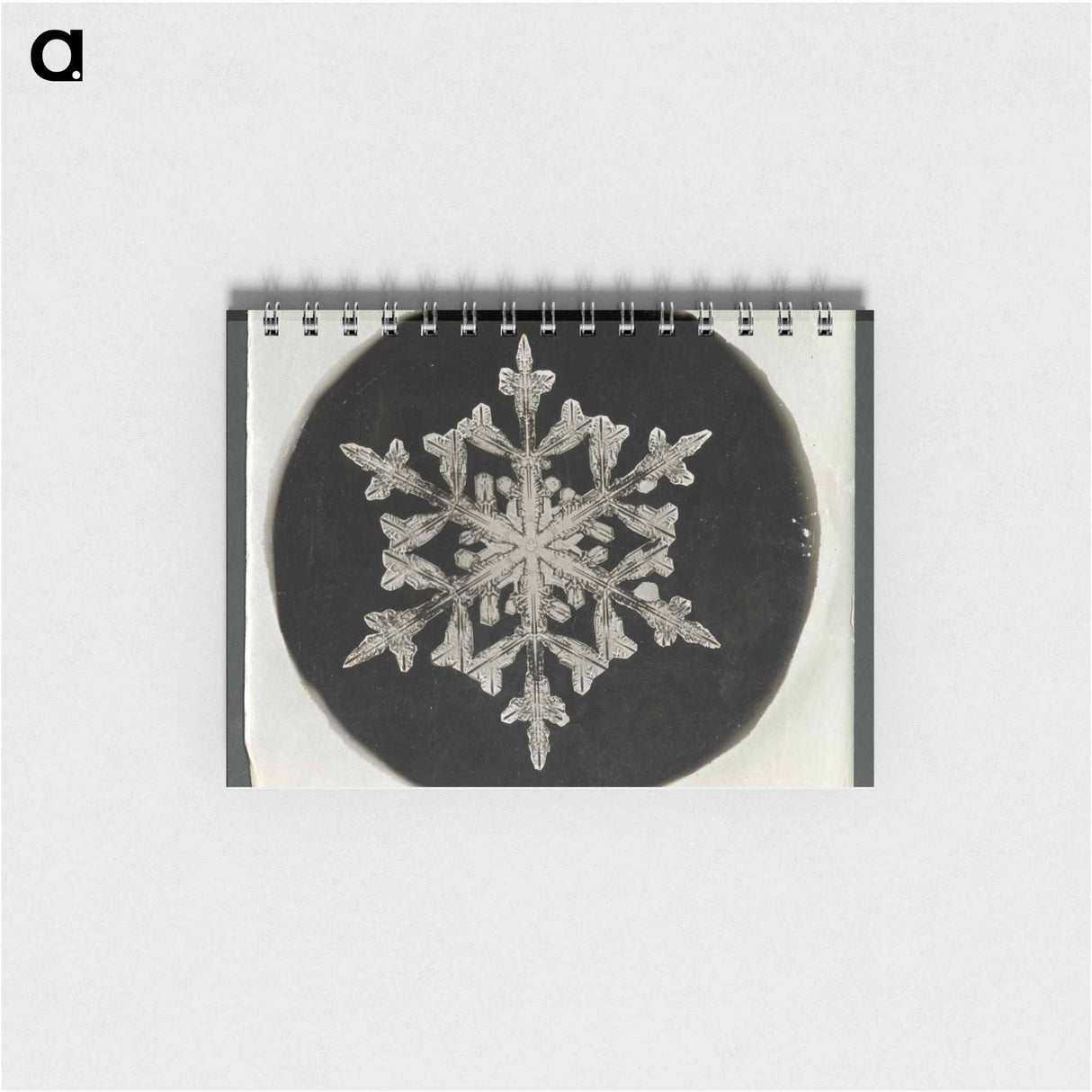 アートメモ帳-Wilson Bentley Photomicrograph of Fernlike Stellar Snowflake No. 842 - ウィルソン ベントレー Memo.