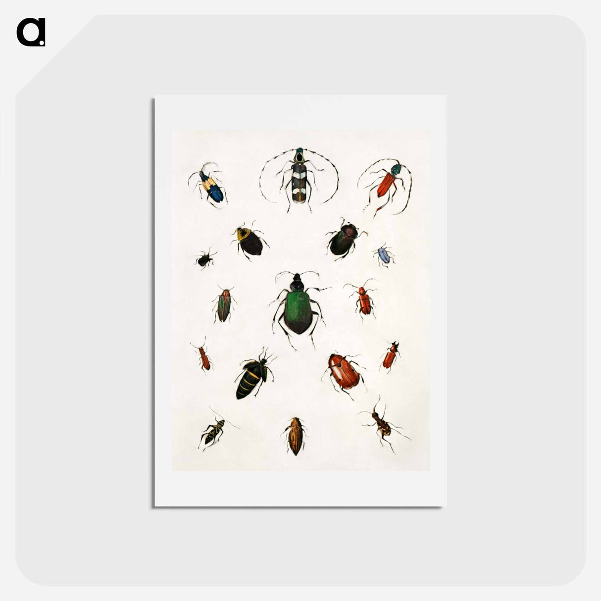 アートポストカード-Colored beetles, landscape - アボット ハンダーソン セイヤー Postcard.