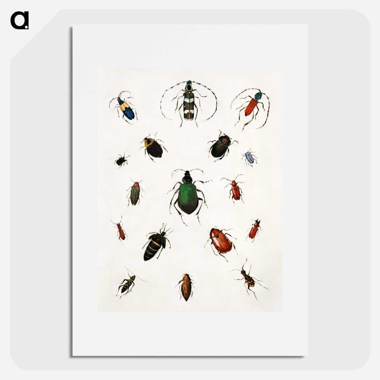 Colored beetles, landscape - アボット ハンダーソン セイヤー Poster.