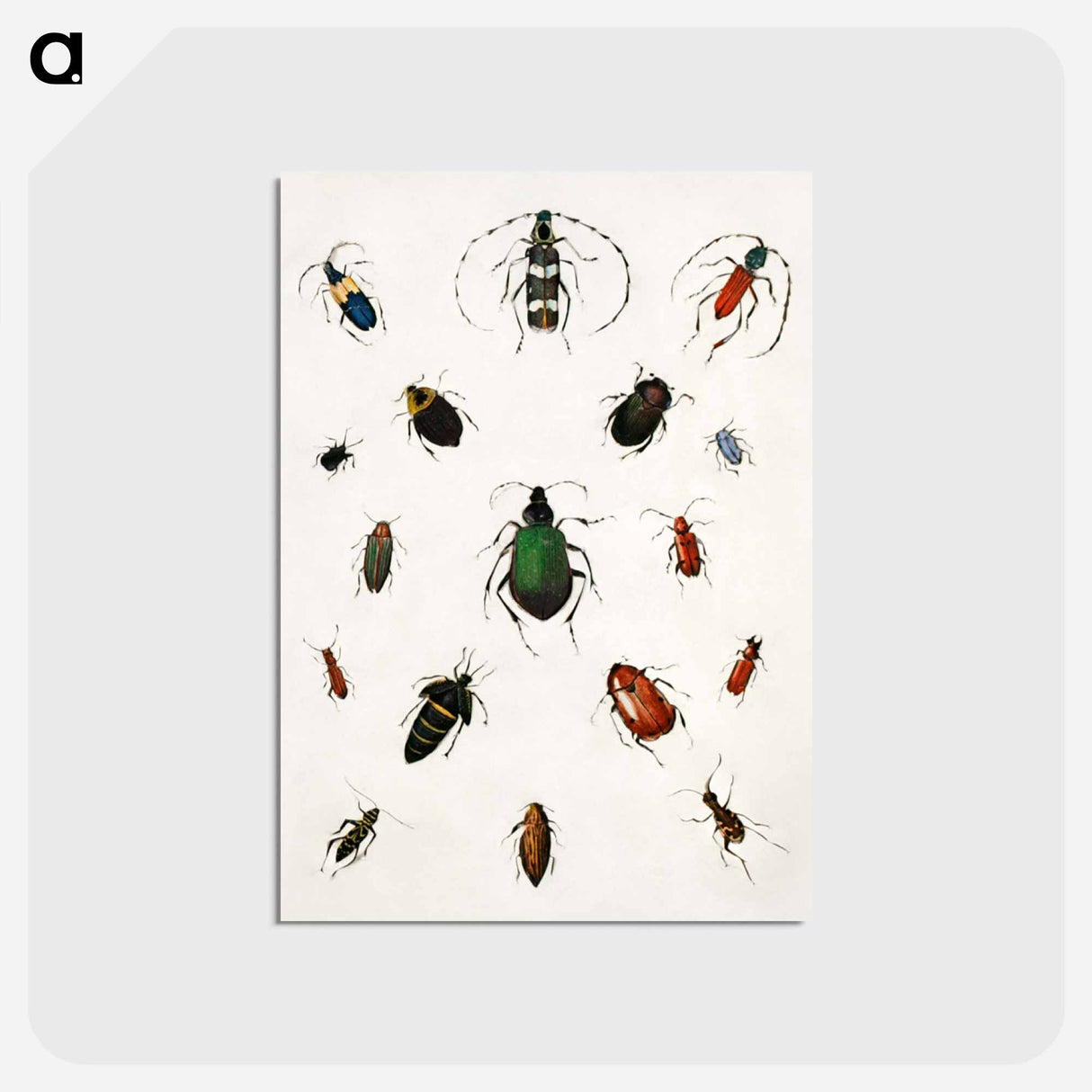 アートポストカード-Colored beetles, landscape - アボット ハンダーソン セイヤー Postcard.