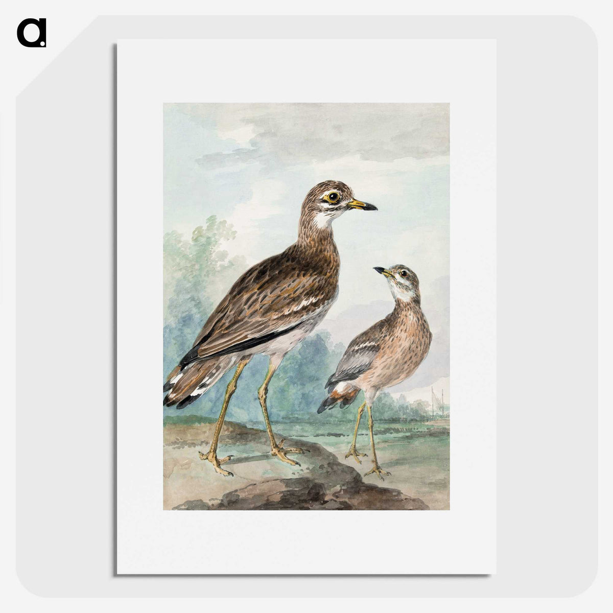 1-29_Aert-Schouman_picture