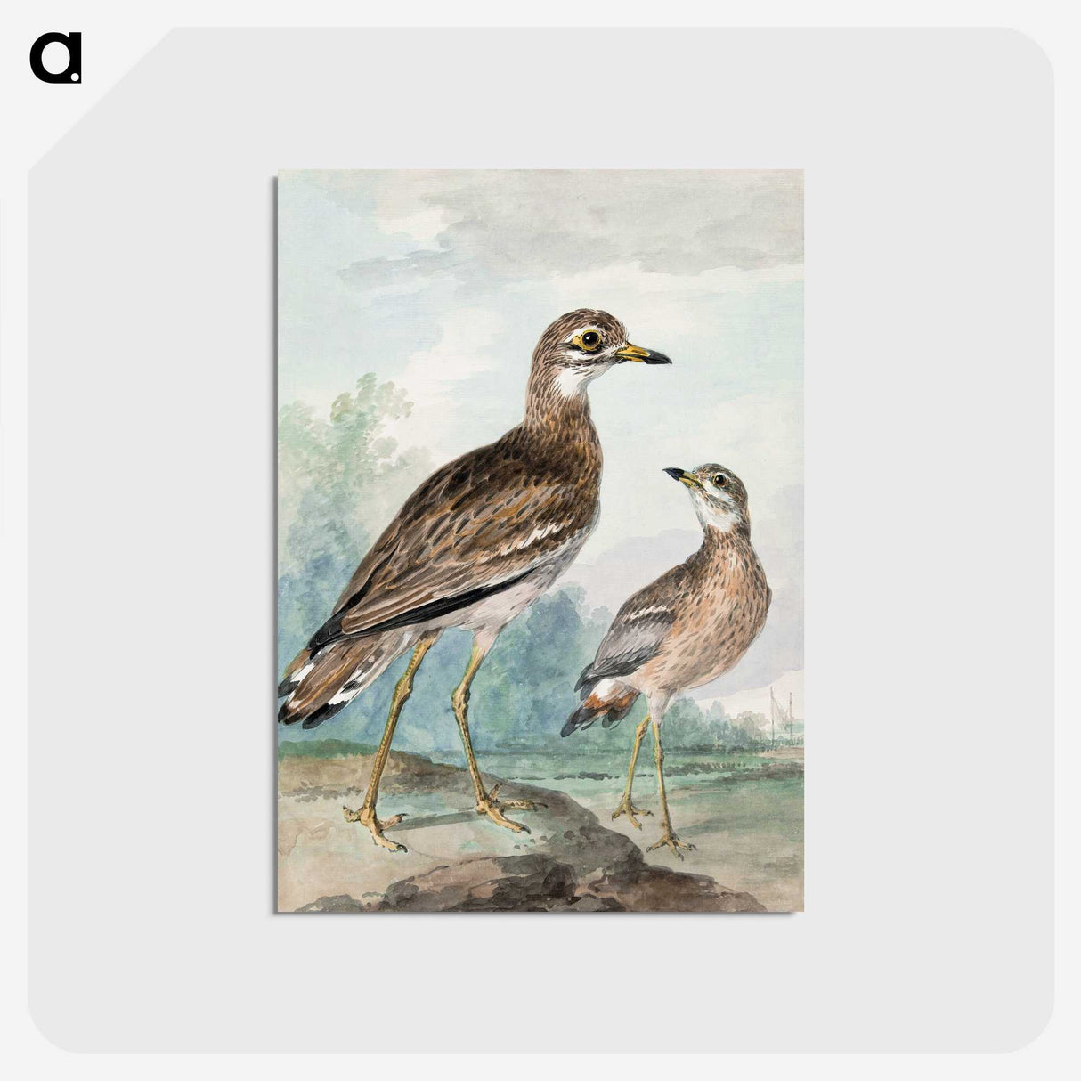 1-29_Aert-Schouman_postcard
