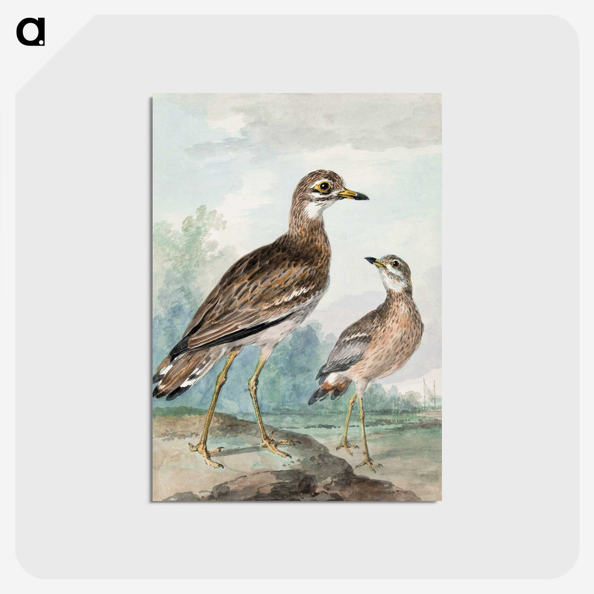 1-29_Aert-Schouman_postcard