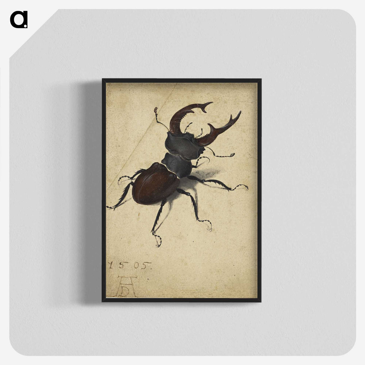 1-29_Albrecht-Durer_blk-crop
