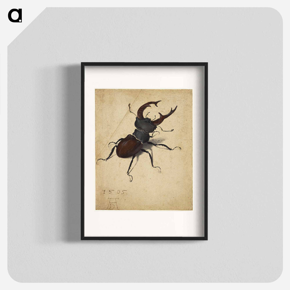 Albrecht Dürer's Stag Beetle - アルブレヒト デューラー Poster.