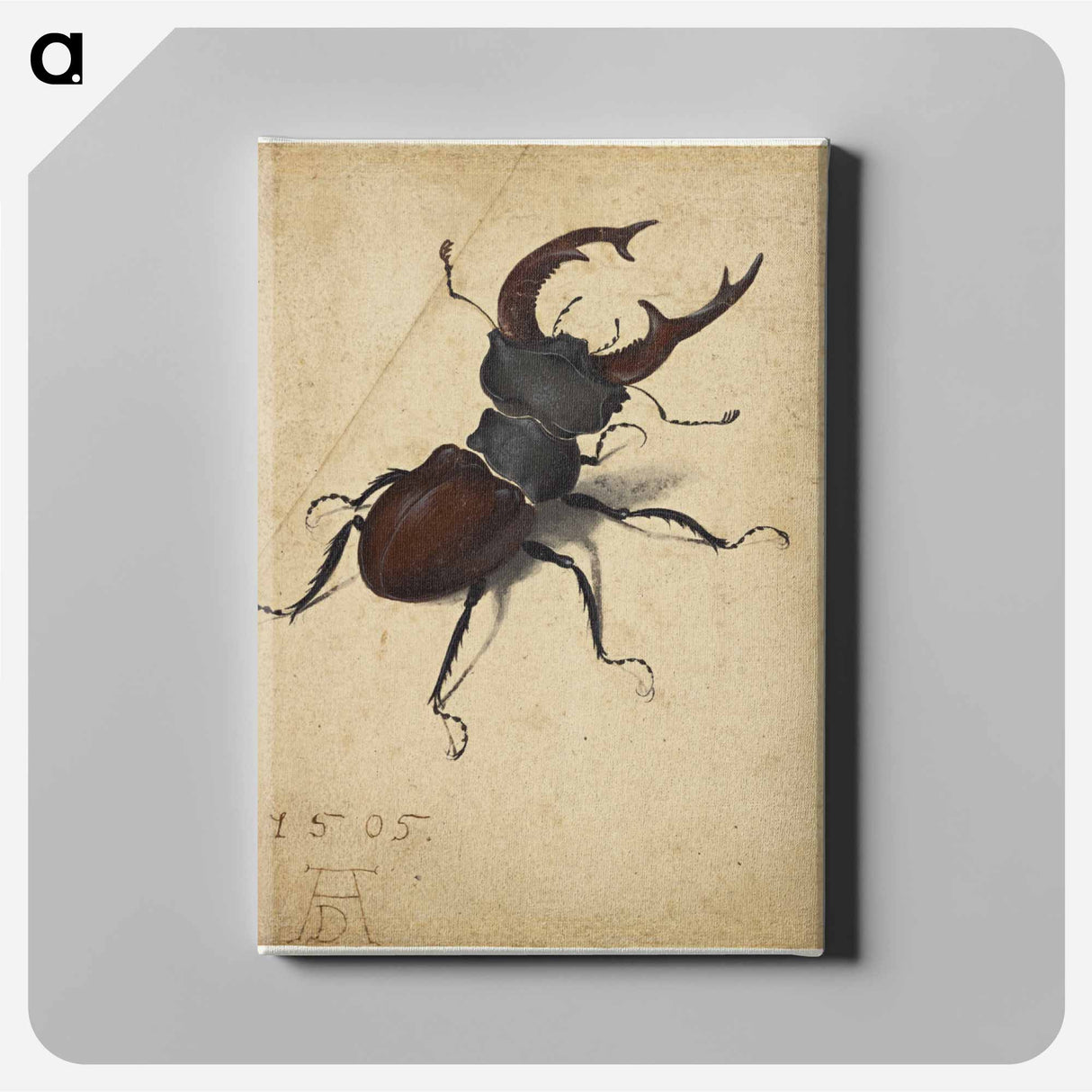Albrecht Dürer's Stag Beetle - アルブレヒト デューラー Canvas.