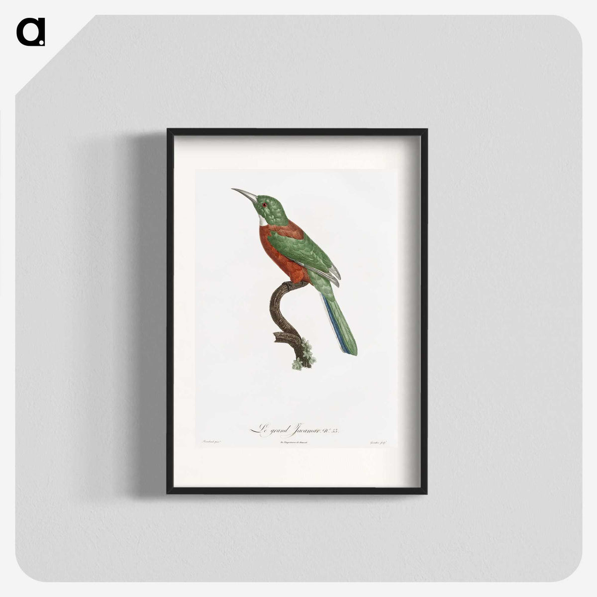 1-29_Des-Oiseaux-de-Paradis_blk